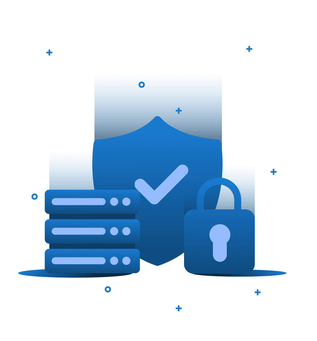 Company Information